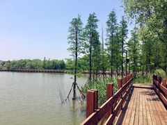 -长兴太湖图影湿地文化园