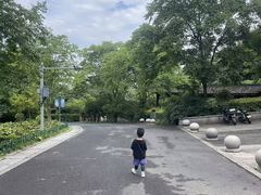 -杭州野生动物世界