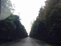 -南桥绿地铂骊酒店