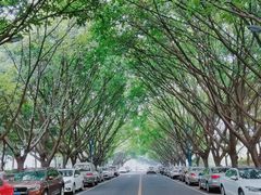 -西南政法大学(渝北校区)