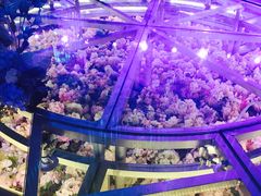 -沈阳皇朝万鑫酒店