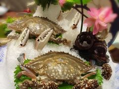 -海通1号(梅峰店)