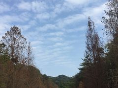 -云溪植物园