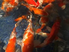 -左海海底世界