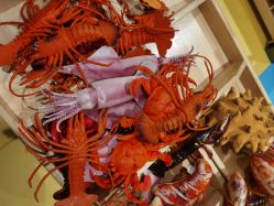 -MELAND(郑州万象城店)