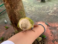 -呀诺达热带雨林