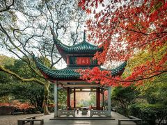 -马王堆汉墓遗址