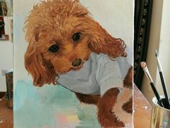 -信马画室 成人零基础到个人创作画室(亚运村店)