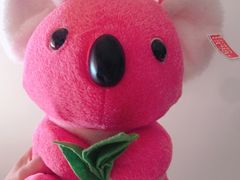 -PAWTOY爪e玩偶店(天兴罗斯福店)