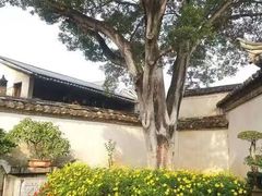 -朱家花园