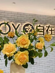 点击看大图 -自在瑜伽·普拉提馆MRBH