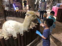 -宝燕乐园(闵行旗舰店)