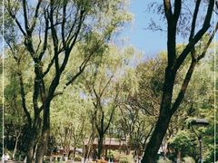 -柳浪闻莺公园