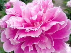 -长春公园(普阳街道)