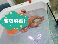 -Pony Baby宝尼婴幼儿游泳SPA馆