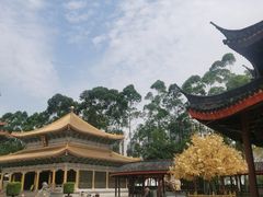 -广东圆玄道观