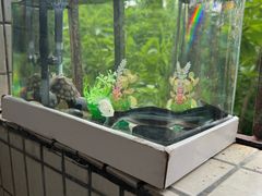 -益财水族馆