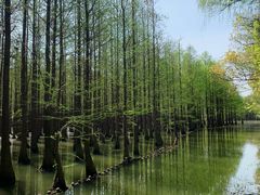 -尚湖风景区