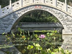 -抱犊寨风景区