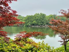 -白马涧龙池景区