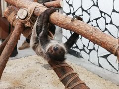 -海合安武汉极地海洋公园