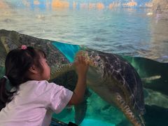 -烟台海昌鲸鲨海洋公园