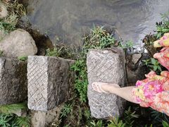 -花溪公园