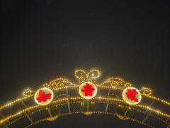 -武汉知音号