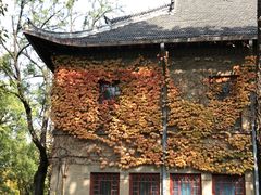 -山东大学(趵突泉校区)