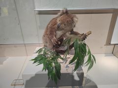 -国家自然博物馆