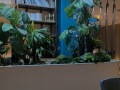 -悦海·家宴·冰花皮皮虾大锅贴(宝龙店)