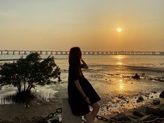 -宝安西湾红树林湿地公园