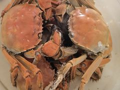 -麦德龙(嘉定店)