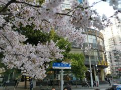 -上岛咖啡(四平路店)