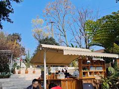 -柠檬花院烤肉·会议团建·聚会·求婚(三圣乡店)