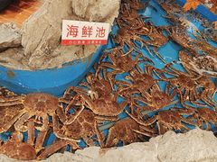 -耕海蟹将军(万象城店)