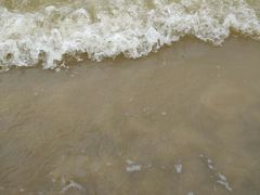 -日照海滨国家森林公园
