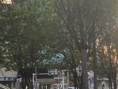 -北国商城
