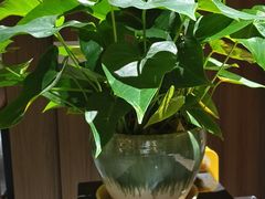 -天禧影院式足道·SPA(梅林店)