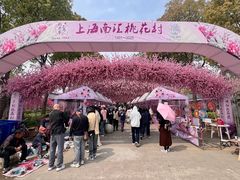 -南汇桃花村