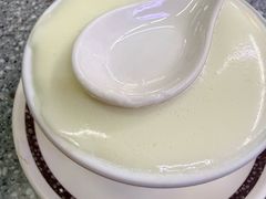 杏汁姜汁撞奶-义顺牛奶公司(新马路老店)