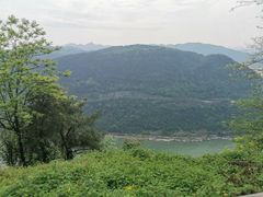 -铁山坪森林公园