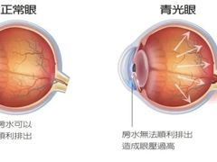 -标准眼镜·蔡司官方授权店(塘沽远洋未来汇店)