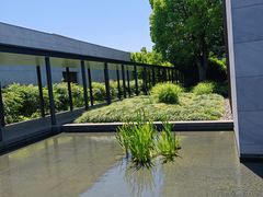 -养云安缦吧THE BAR