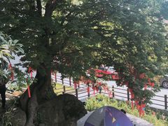 -石塘人家