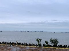 -上海滨江森林公园