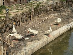 -天禄堂西溪庄园