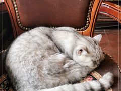 -不舍昼夜咖啡馆