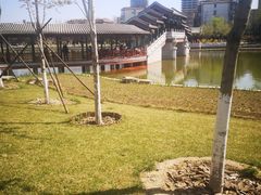 -西海子公园