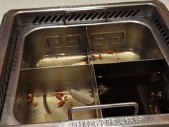 -海底捞火锅(吾悦国际广场店)